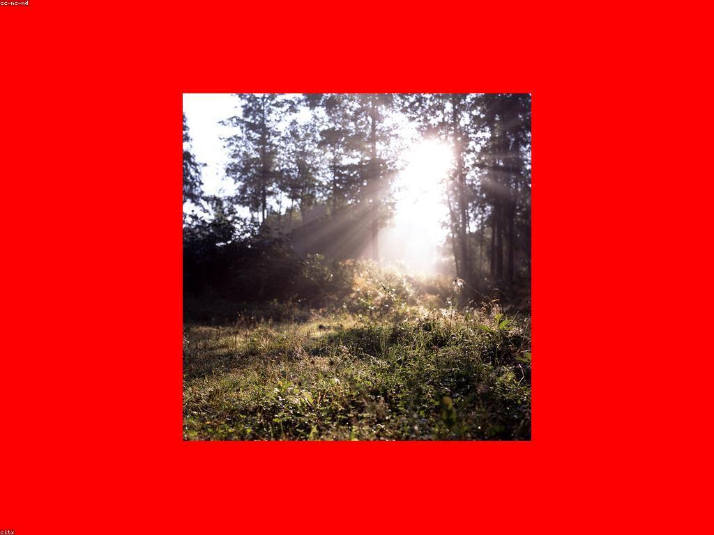 អត្ថប្រយោជន៍អារម្មណ៍នៃការលេង