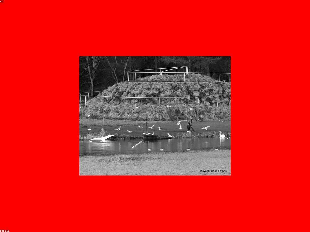 ការពិភាក្សាពីសកម្មភាពលេងនៅក្នុងកន្លែងលេង